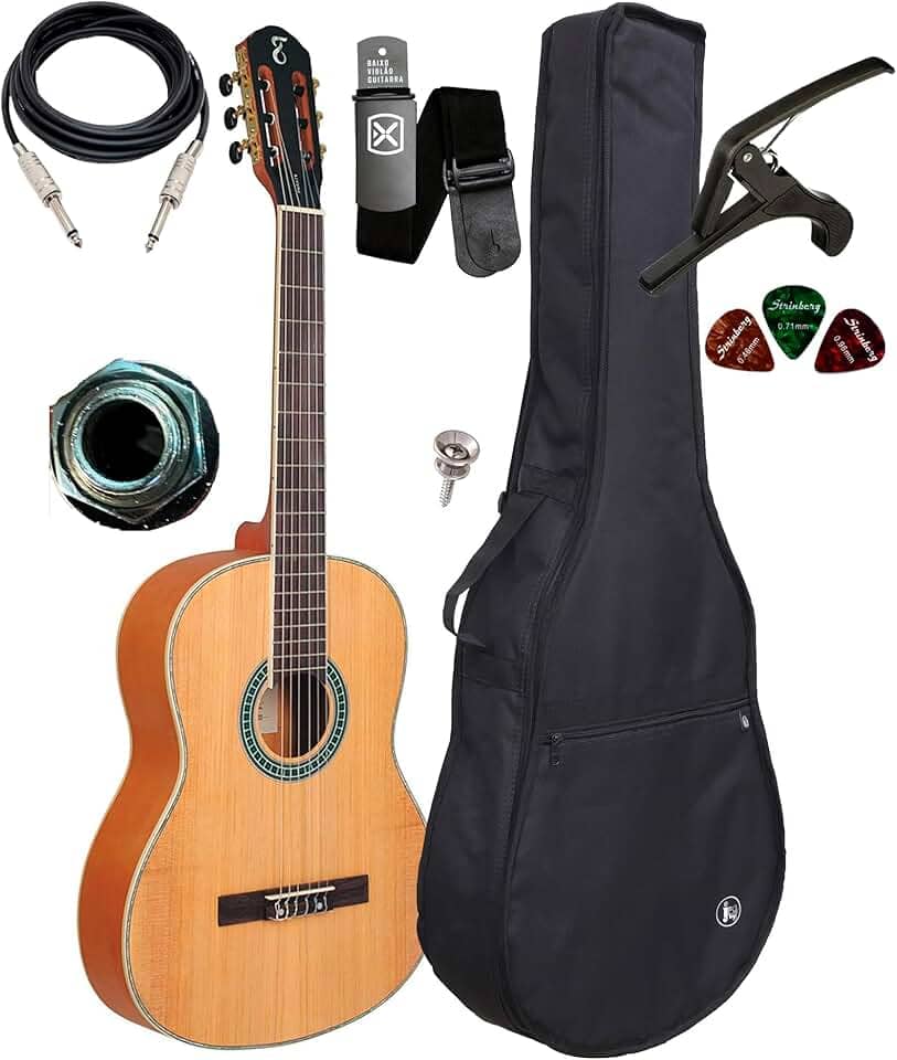 Violão Eletroacústico Paraty Tagima + Capa E Acessórios (NTS)