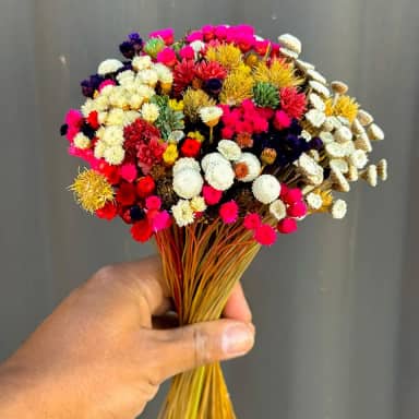 Buquê Rústico Mix de Flores Secas Sempre-Vivas, Arranjo Natural Decorativo (MIX COLOR)
