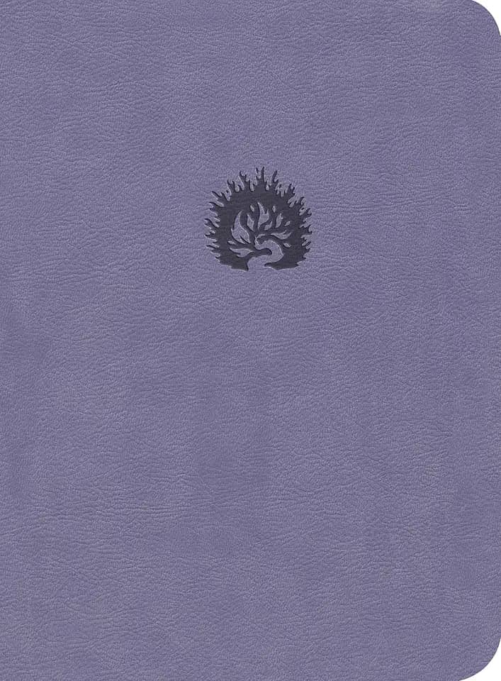 A Bíblia de Estudo da Fé Reformada: Capa Luxo Lavanda e Estojo