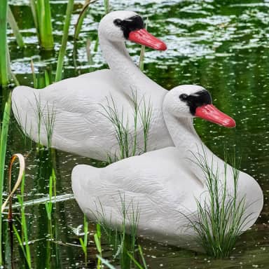 Galashield Chamarizes de cisne para gansos | Chamariz de cisne flutuante para piscina, lago e lago [2 unidades]
