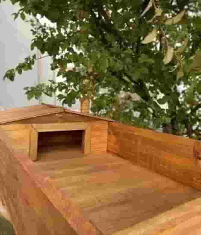 Terrário em Madeira para Jabuti, Cágado, Tartaruga e Outros Pets (Não acompanha a decoração)