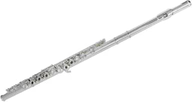 Flauta Transversal FL 210ES Prateada com Case New York