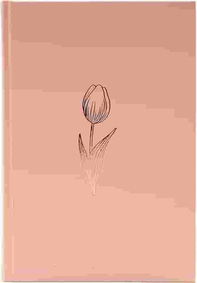 Bíblia NAA, Rose Tan, Capa Dura | SBB | Capa dura ilustrada, rose: Nova Almeida Atualizada (NAA)