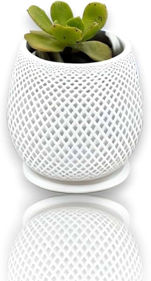 Vaso Poligonal Decorativo para Suculentas, Cactos, Branco (Branco)