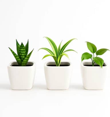 Kit 3 Mini Vasos De Cerâmica Preto Ou Branco, Estilo Minimalista, Ideal Para Suculentas, Arranjos E Decoração De Casa Ou Escritório (Branco, 5,0 de Altura)