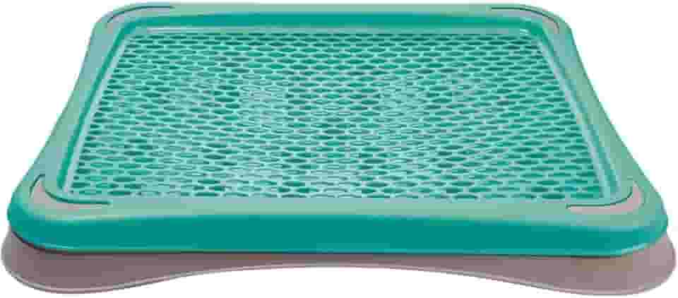 Sanitário Higiênico Para Cães Pipi Tapete Plast Pet - Azul Tiffany