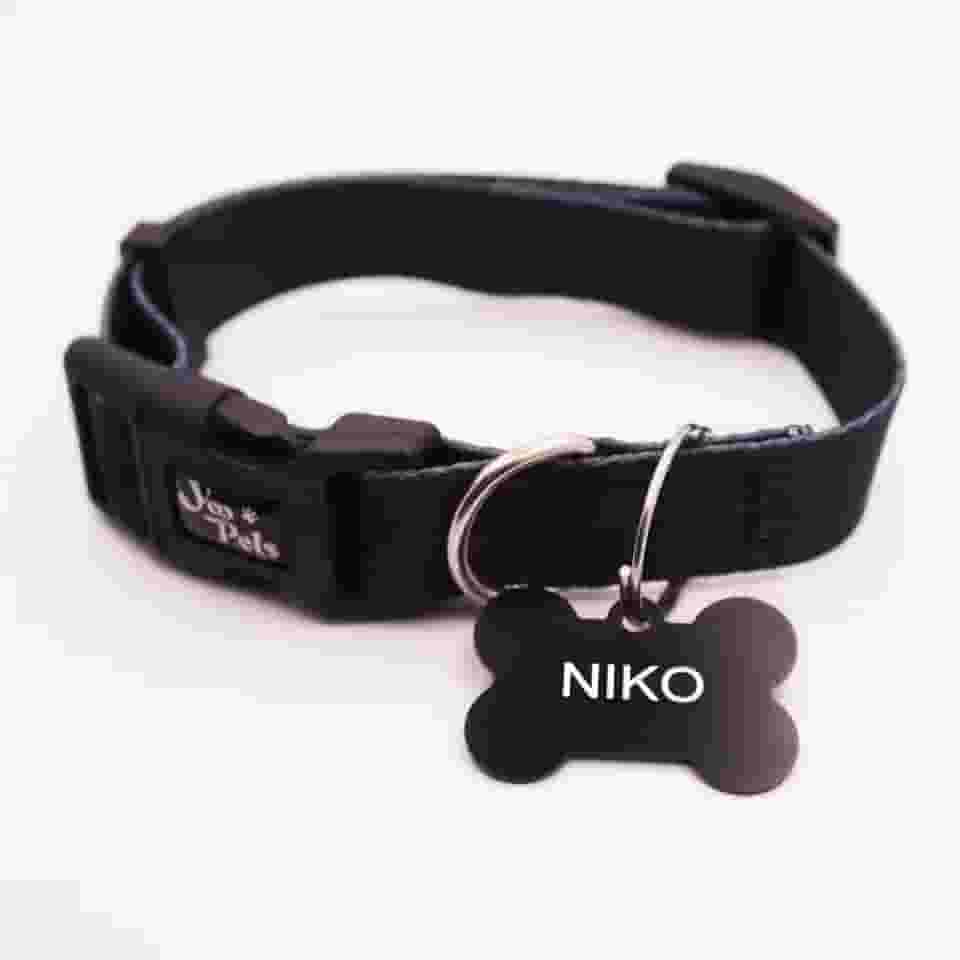 Coleira Ajustável Cachorro Yoo Pets e Plaquinha de Identificação Nome e Telefone PETS M (36 cm a 53 cm)