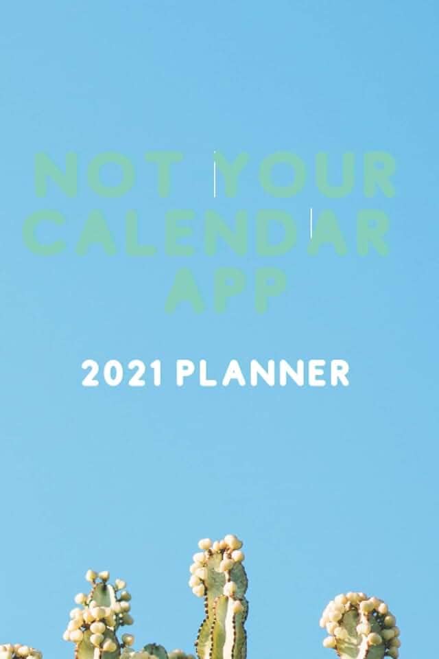 Not your calendar app 2021 planner: 12 months, daily calendar, notes, priorities, 366 pages