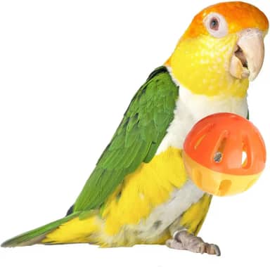 SUPERBIRD Bola De Brinquedo Para Pássaros Super Bird Creations 5 Cm