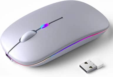 Mouse Sem Fio Recarregável, Ergonômico, com Led RGB, Conexão Dual Bluetooth 5.0/USB 2.4GHz, DPI Ajustável, perfeito para Notebook, Laptop,PC, Desktop, Silencioso (Prata)
