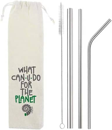 Kit 5 em 1-3 Canudos de Inox + Escova + Ecobag