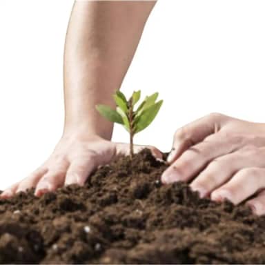 10 kg Terra Adubada para Plantas, Substrato Fértil para Jardinagem