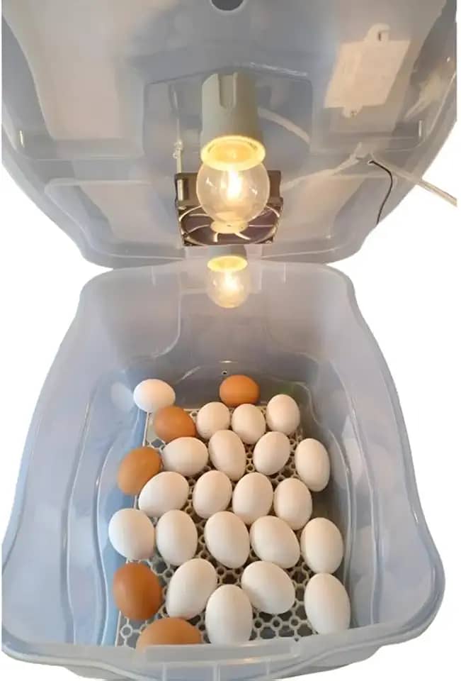 Chocadeira Pet Compacta Com Capacidade Para 30 Ovos De Galinha Ou 90 Ovos De Codorna