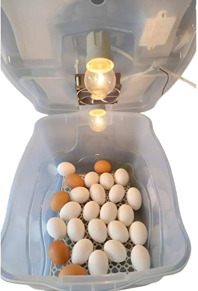 Chocadeira Pet Compacta Com Capacidade Para 30 Ovos De Galinha Ou 90 Ovos De Codorna