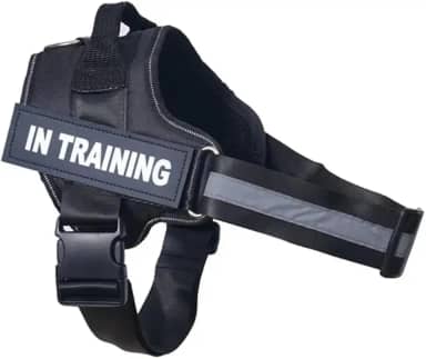 Coleira Personalizada Com Nome Telefone Para Cachorro Cães Pet Peitoral Colete Identificação (Preto, P)