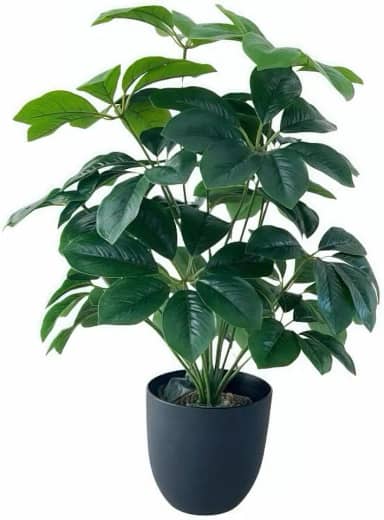 Planta artificial grande para sala Schefflera chinensis 70 cm com 18 ramos e folhas largas