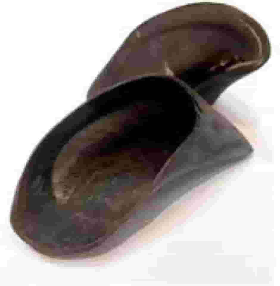 Casco Bovino Natural para Cachorro Brinquedo de Roer que Limpa Dentes 2 Unidades