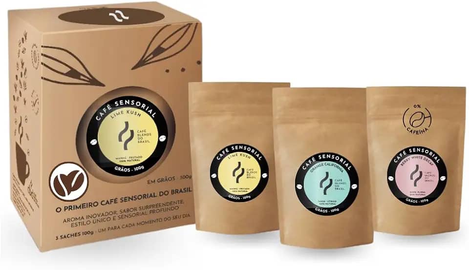 Kit Café Sensorial Premium 300g Café Blends do Brasil Aromas 100% Naturais Sabores Exclusivos: Manhã Frutado Tarde Cítrico e Noite Floral Descafeinado Embalagem Premium com 3 Sachês de 100g Cada para Diferentes Momentos (300 gramas, Grãos)