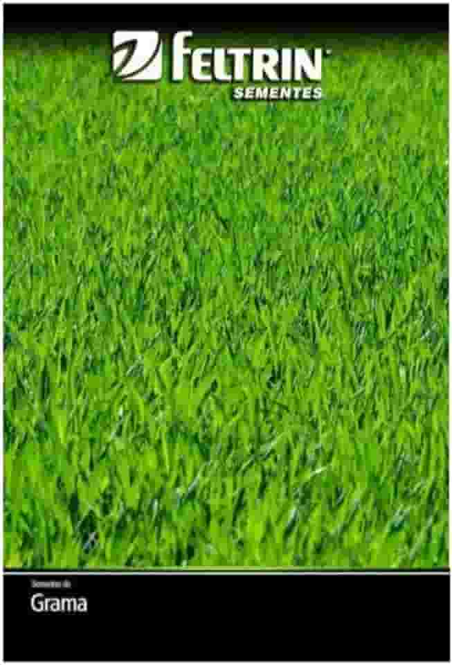 FELTRIN, Sementes de Grama Jesuíta São Carlos para Jardim FELTRIN