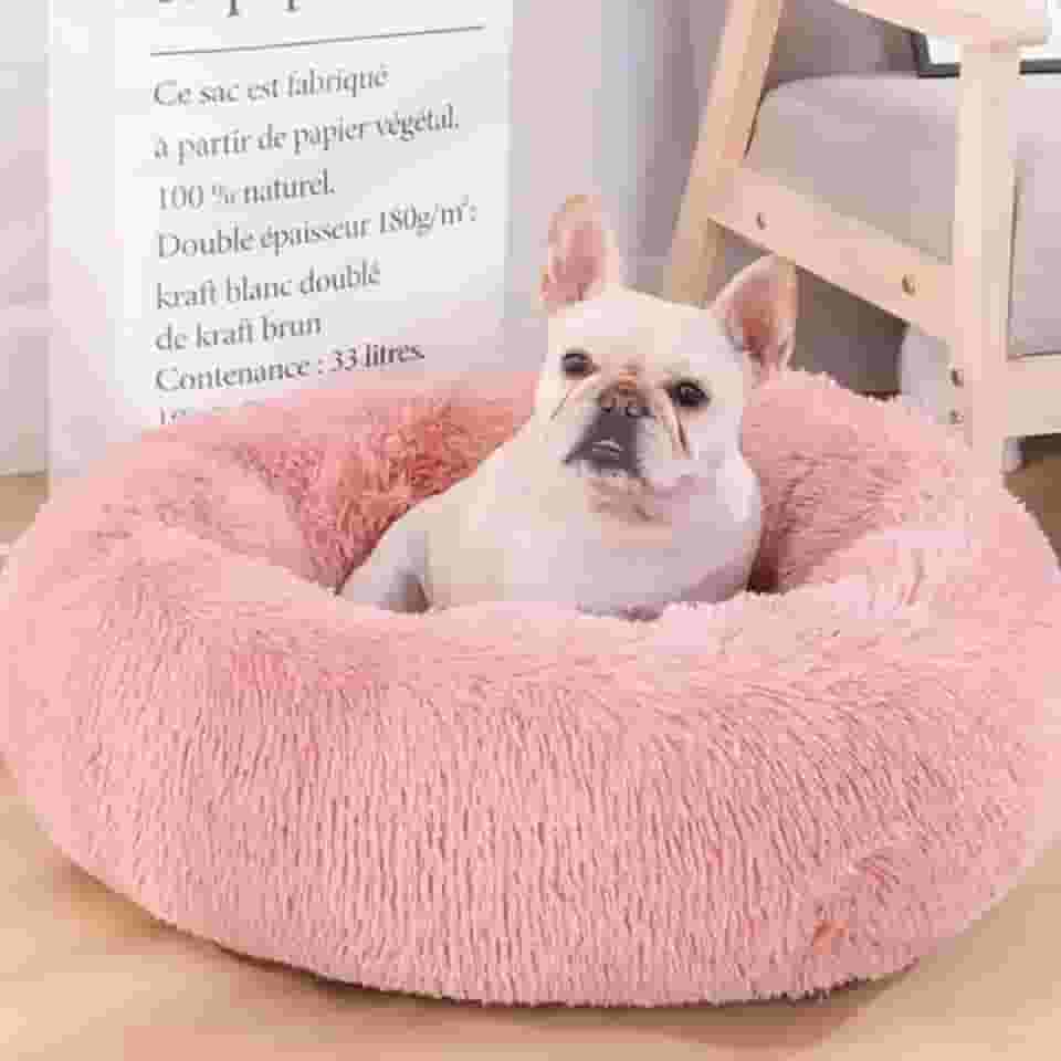 CAMINHA DONUT NUVEM PET PELUCIA G REDONDA CAMA PELUCIADA NINHO CASINHA CASA COLCHONETE Cachorros E Gatos PELUCIADO FUNDO ANTIDERRAPANTE QUALIDADE PREMIUM G 60CM (ROSA)