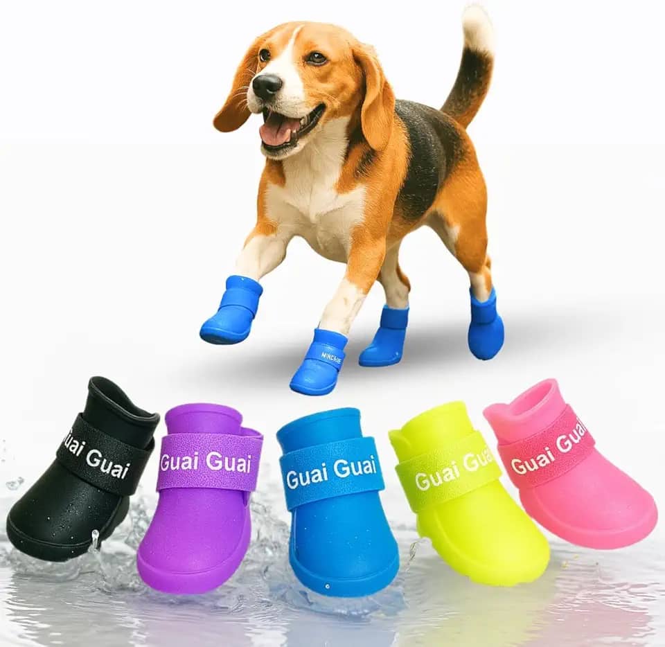 Sapato Botinha De Silicone Para Cachorro Antiderrapante Protetor De Patas (Macho, G)