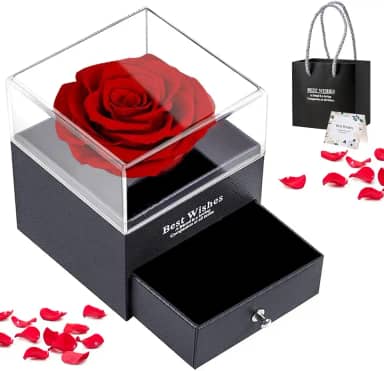 Rosa Eterna, Rosa Real Preservada, Caixa de Presente de Joias Flor de Rosa, Excluindo Joias, Rosa Imortal, Lindo Conjunto de Rosas Preservadas, Dia dos Namorados Presentes Feminino