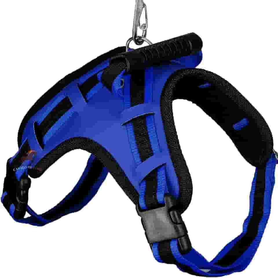 Coleira Peitoral Guia com Amortecedor Peiteira Para Cachorros Fortes(AZUL,M)