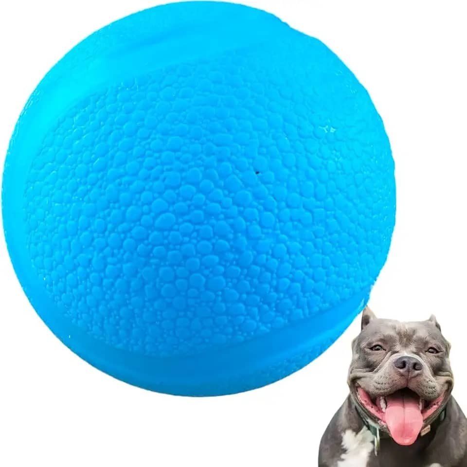 Brinquedo Para Cães Bola Lisa Grande Maciça Extra Forte 95mm Cachorro destruidor Grande Hard (Azul)