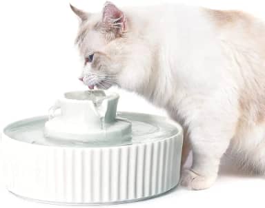 Fonte de água de cerâmica para gatos, dispensador de fonte de água de cerâmica para animais de estimação, tigela de bebedouro de 2,1 L para gatos e cães com filtros de substituição e espuma