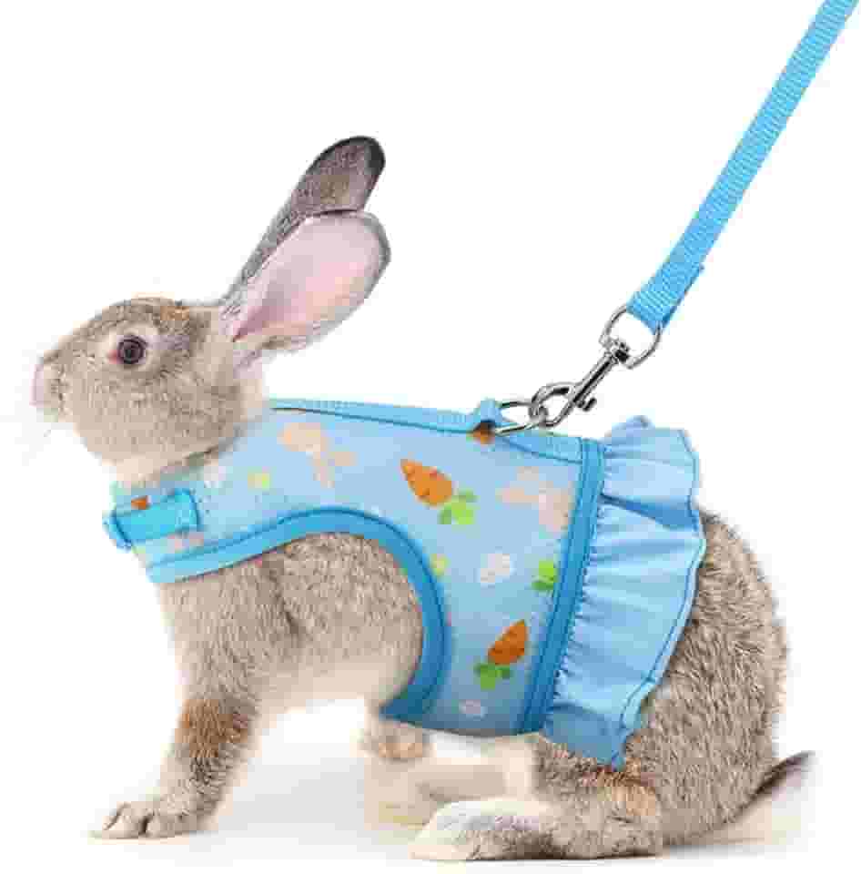 Conjunto de arnês e coleira de coelho azul, coleira e coleira de coelhinho à prova de fuga, colete de coelhinhos fofos, acessórios de roupas – Também adequado para furões gatinhos filhotes de animais