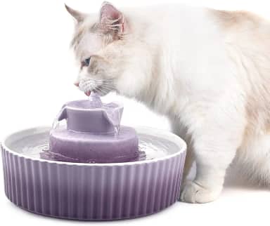 Cepheus Fonte de cerâmica para animais de estimação 360, fonte de água avançada de porcelana para gatos, tigela de 200 ml para gatos e cães com filtros de substituição e espuma (roxo)