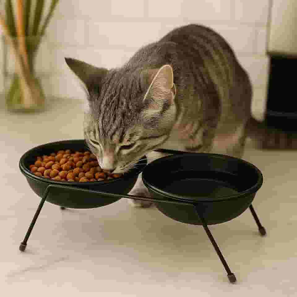 Comedouro Pet Duplo Elevado 25×10 cm para Cães e Gatos Pequenos – Suporte Metálico com 2 Tigelas 12 cm – Estável, Antiderrapante, Design Ergonômico para Melhor Digestão