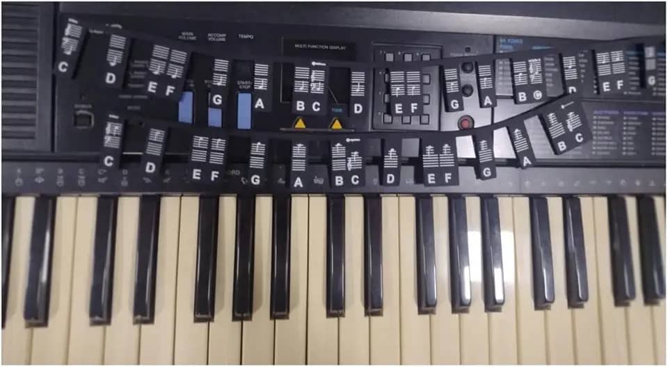 Marcador Notas Musicias Preto Piano Teclado 61 Notas Velvet