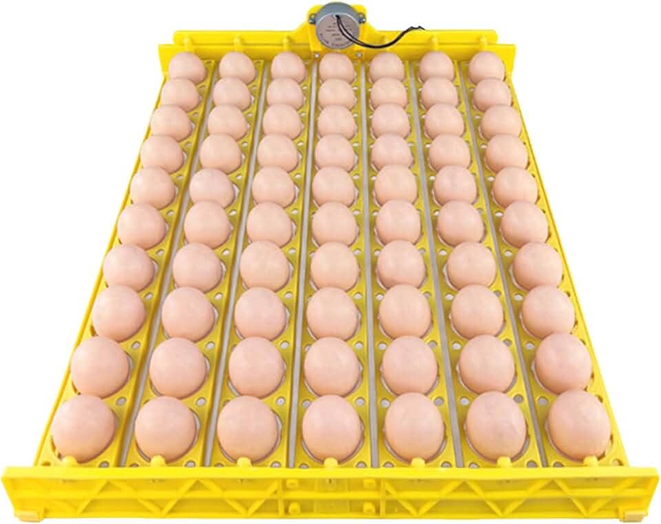 Jiawu Bandeja automática para virar ovos, mini chocadeira com motor, 70 ovos, bandeja para virar ovos, ferramenta para chocar ovos de galinha, pato, codorna