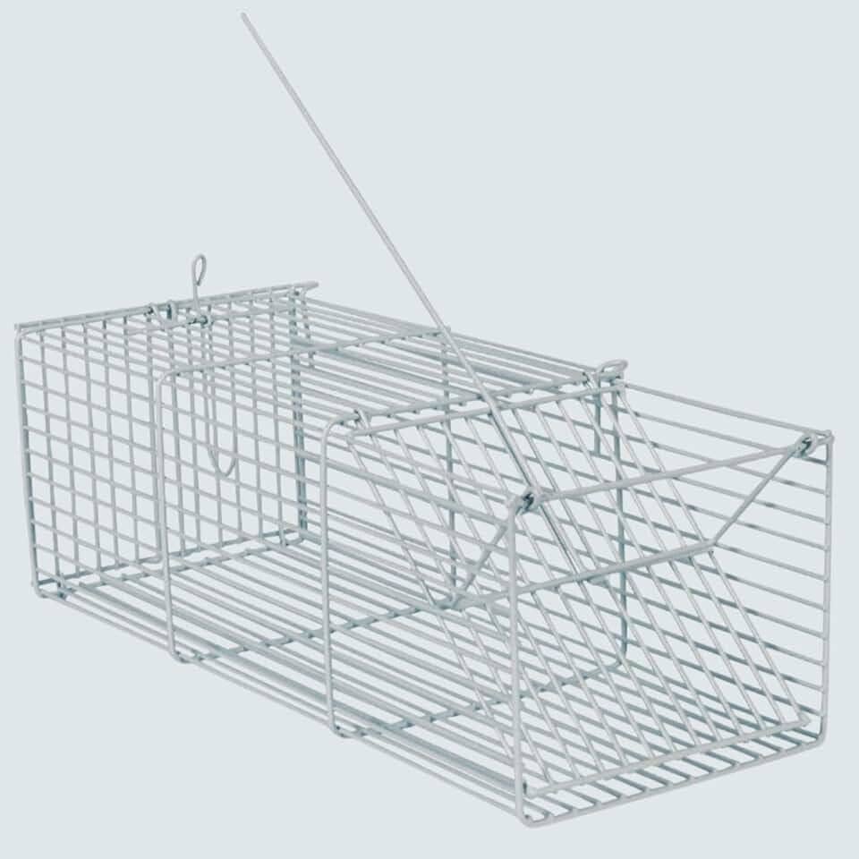 Ratoeira gaiola armadilha para ratos e camundongos roedores