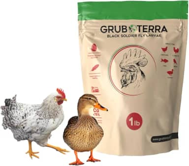 GrubTerra Golden Dried Black Soldier Fly Larvas - Suplemento premium para aumentar a produção de ovos para galinhas, ração para pássaros, alimentador de frango, ração para pássaros de animais de
