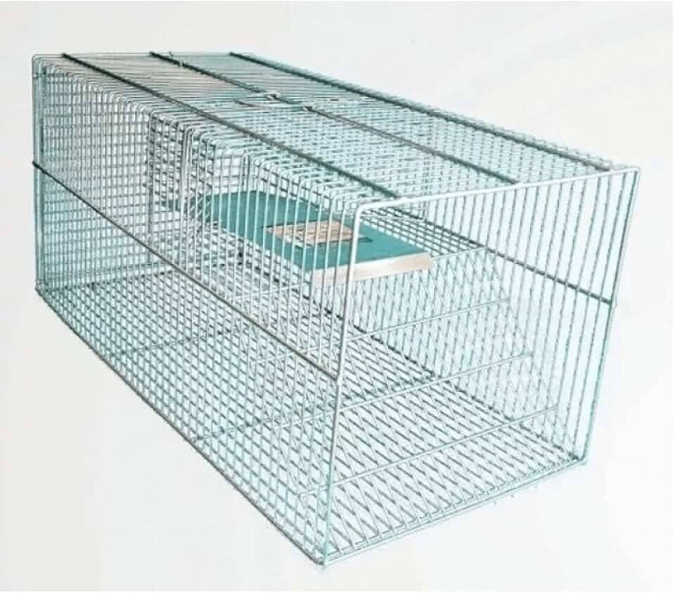 Ratoeira Gaiola de Captura para Ratos, Camundongos e Ratazanas