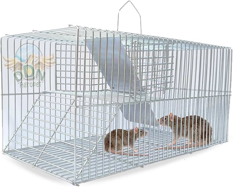 Gaiola Ratoeira Armadilha Pegar Rato Camundongo Fundo Falso