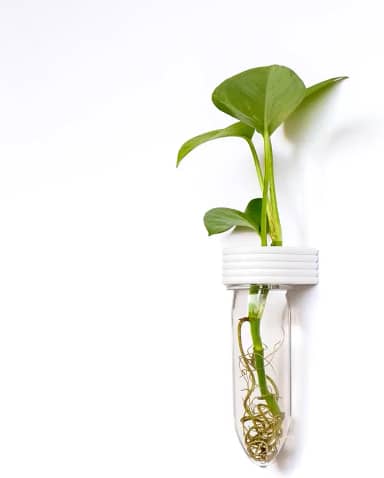 Estação de propagação para pendurar na parede, terrário, reciclado, impresso em 3D, ecológico, presente exclusivo para amantes de plantas (neve)