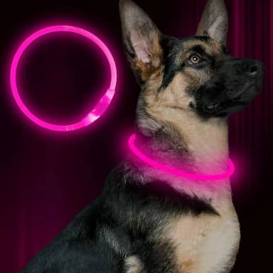 Coleira LED para cães, BSEEN USB, recarregável, para cães, leve, coleira de segurança para animais de estimação faz com que seus amados cães sejam vistos à noite para cães pequenos, médios e grandes