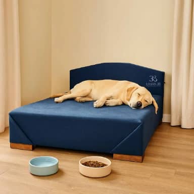 Cama Box Pet 100cm para Cachorros de Grande Porte em Suede com Cabeceira (Azul)