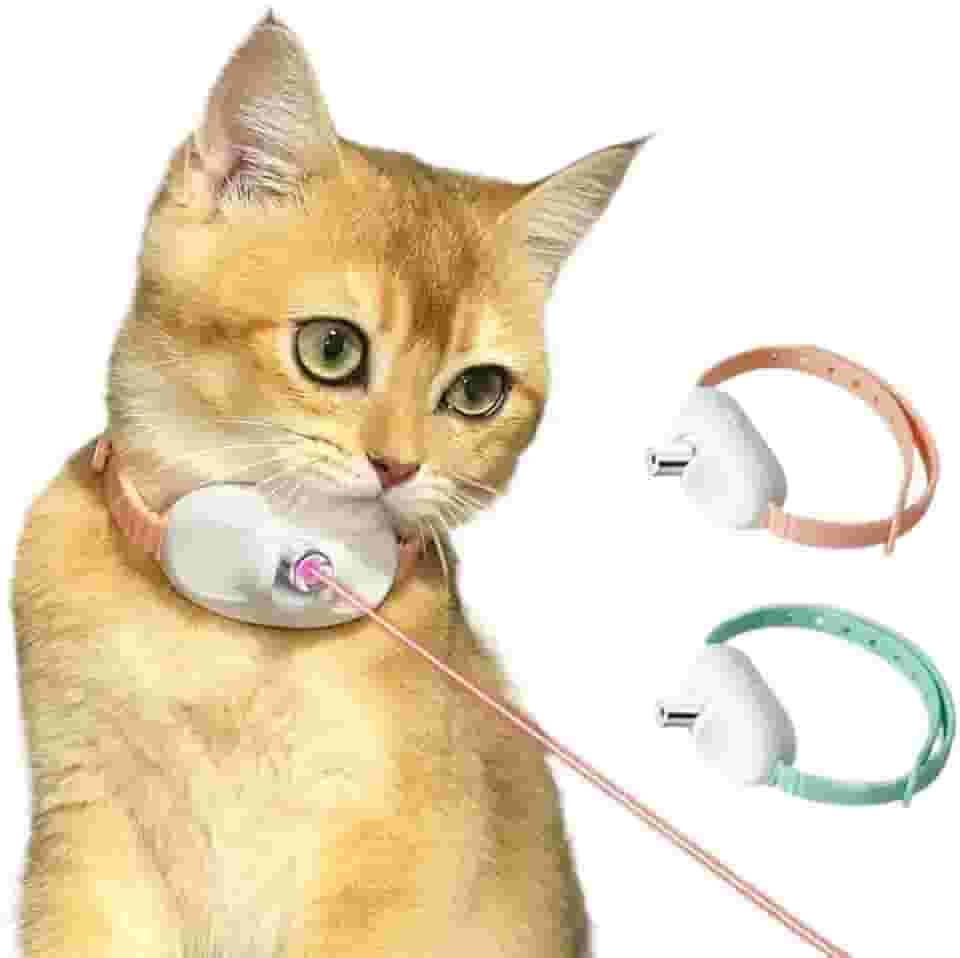 Brinquedo Laser Para Gatos Animais De Estimação USB Coleira De Gato LED Com Luz Brinquedos (Cor Aleatorio)