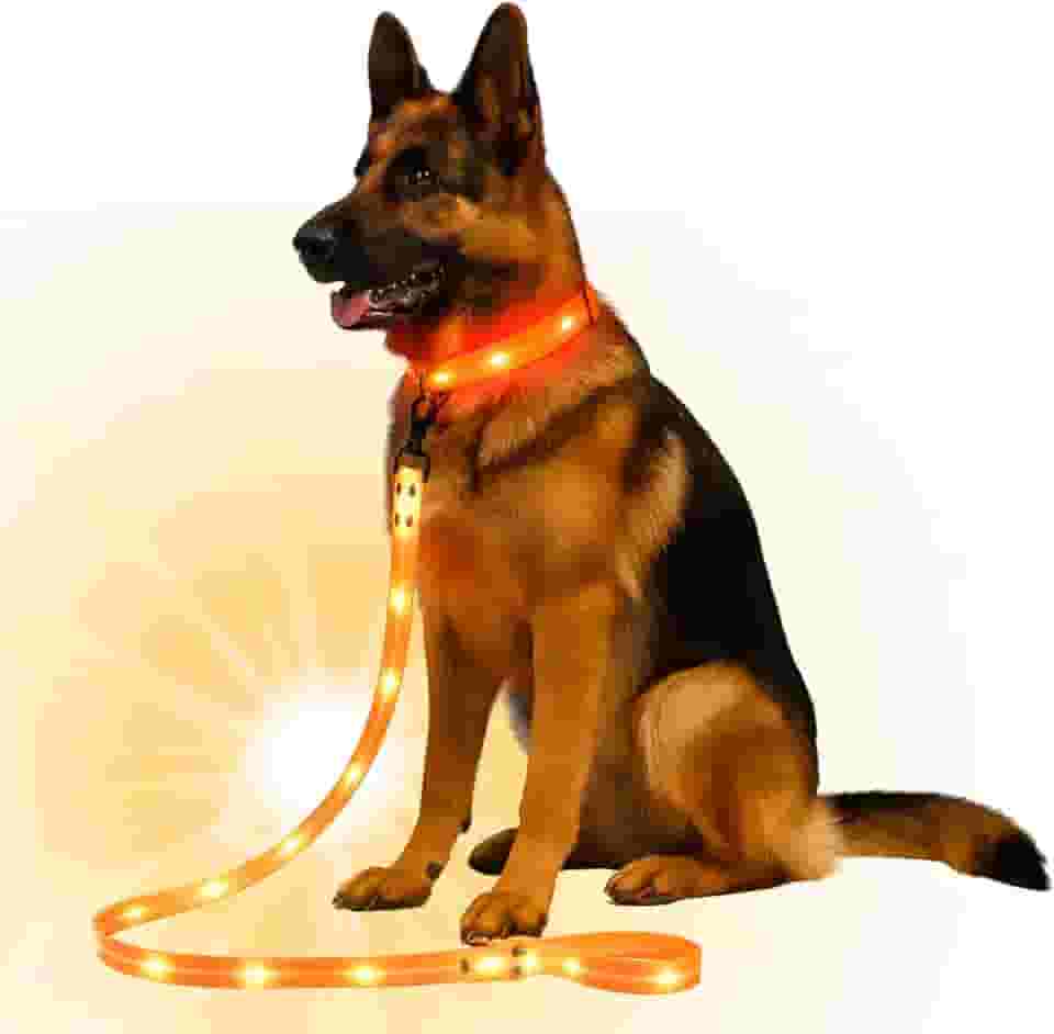 Coleira Led Cachorro Recarregável Usb Ajustável Segurança Noturna Pet Grande Pequeno (Laranja)
