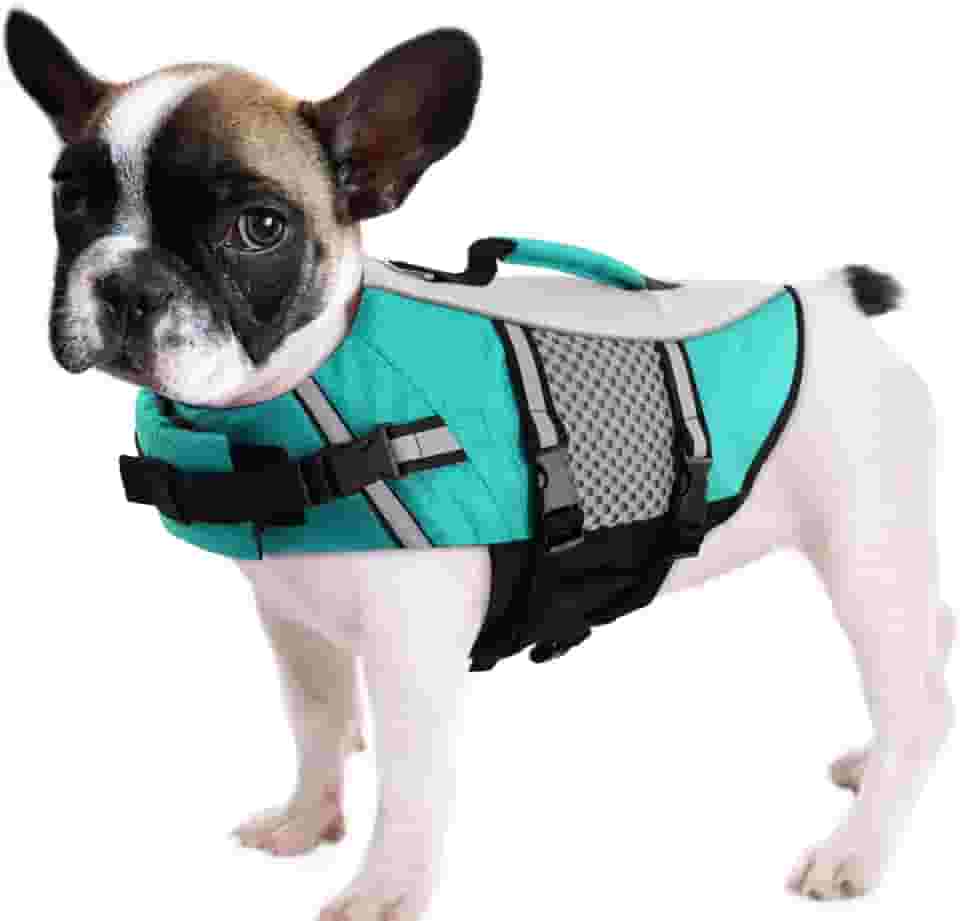 Queenmore Colete salva-vidas para cães, pequeno, médio, neoprene para passeios de barco, colete salva-vidas leve reflexivo para cães e filhotes de cachorro caiaque para buldogue francês, Yorkie