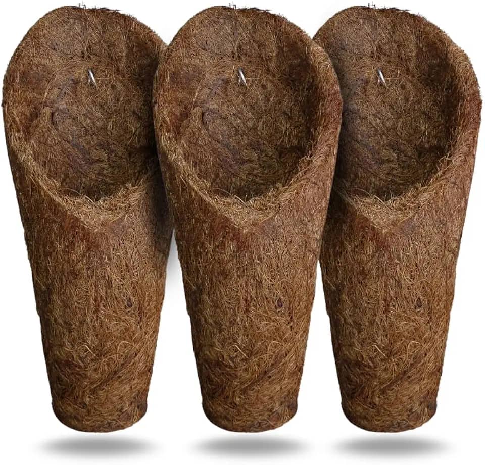 Kit 3 vaso para Orquídeas em Fibra de Coco modelo Concha, tamanho "M", Resistente à Água, Leve e Durável, para Jardinagem e Decoração