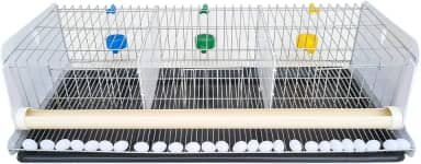 Gaiola para codorna completa