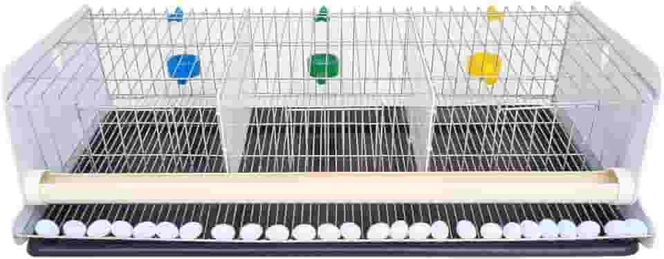 Gaiola para codorna completa