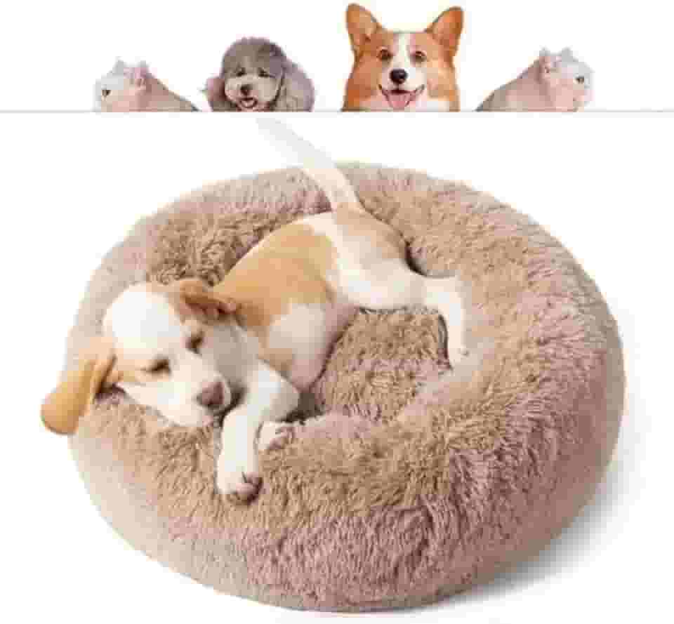 Caminha Nuvem CAMA Pet Redonda PELUCIA Para Cachorros E Gatos DONUT FILHOTES TODA ACOLCHOADA BORDAS ELEVADAS FUNDO ANTIDERRAPANTE Tamanho M CASA CASINHA NINHO (CARAMELO)