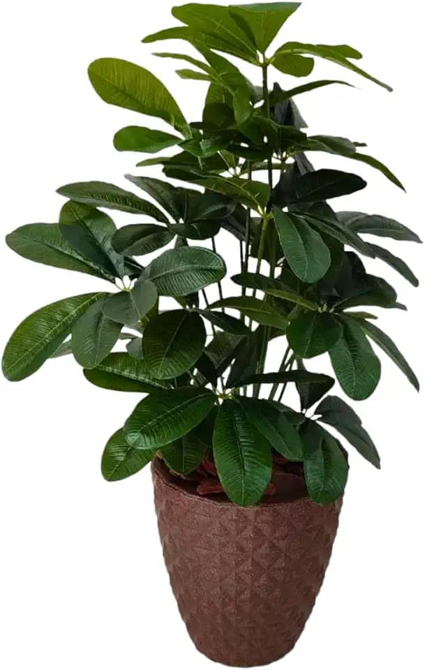 Planta Artificial Schefflera com Folhas Grandes Realista Com Vaso