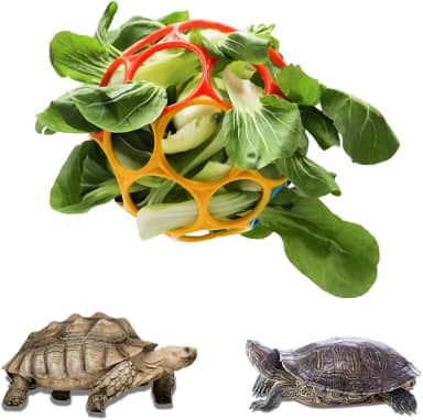 Besimple Brinquedo de bola de tartaruga, alimentador de feno de tartaruga, bola de alimentação, bola de grama, suporte de alimentador de frutas e legumes, brinquedo de forrageamento para animais